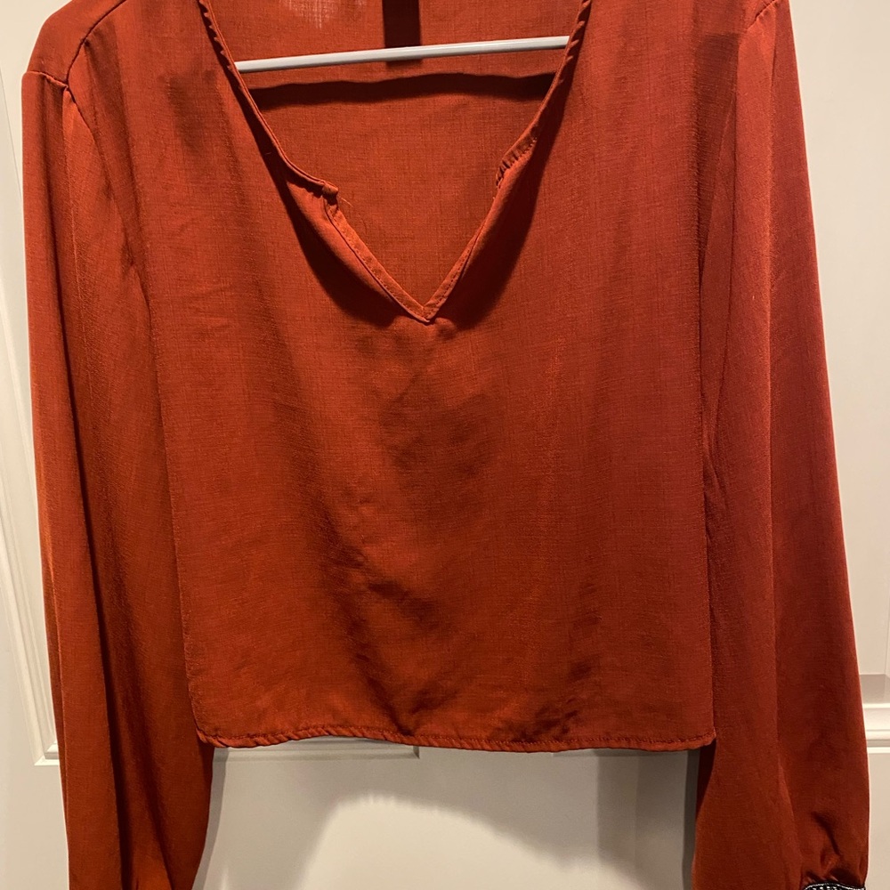SHEIN Orange Long Sleeve Sheer Crop Blouse